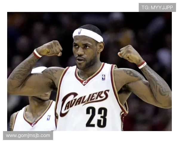 世界杯冠军表历届排名详尽解析，揭示各届冠军国家的实力变迁与历史荣誉